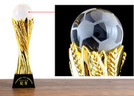 Copo feito sob encomenda do troféu da resina com bola de cristal para a extremidade do futebol - concessão do ano